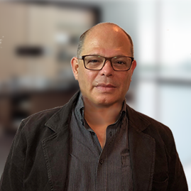 Ing. Carlos  Briceño M.